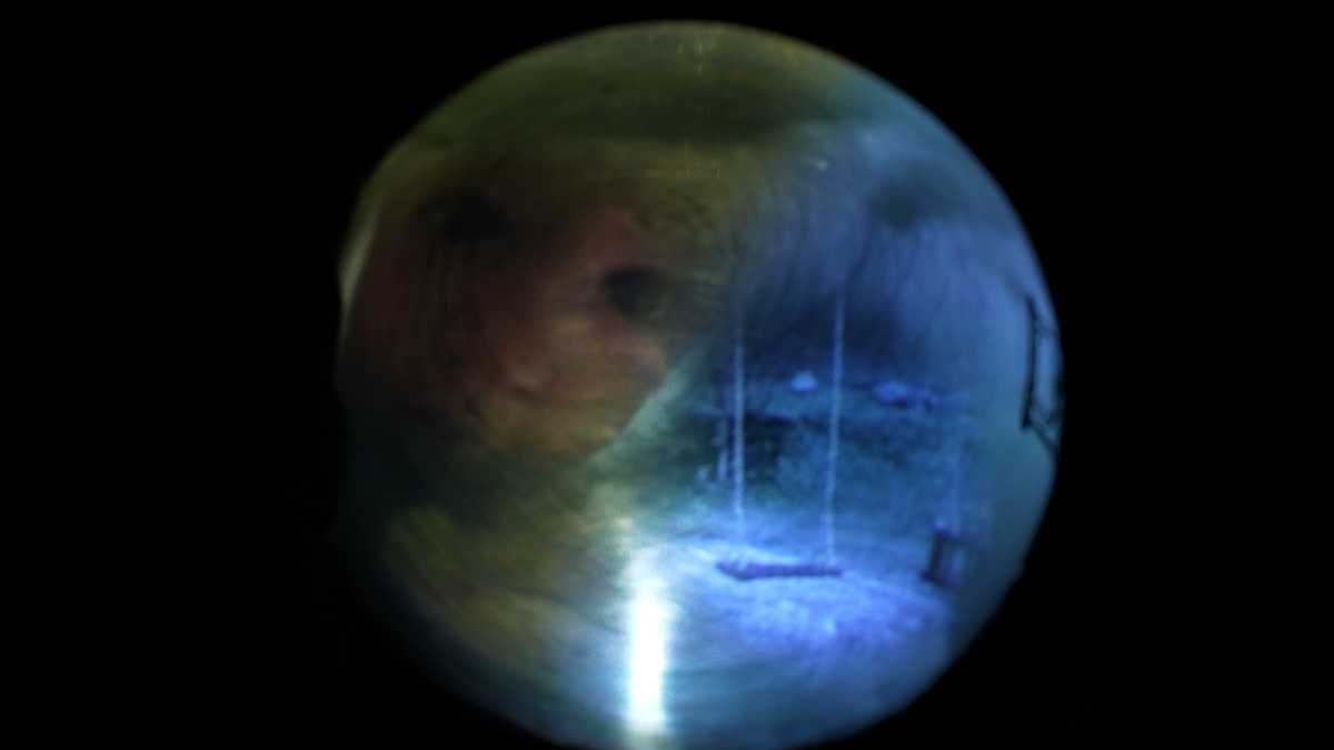 Memory Failure image 2